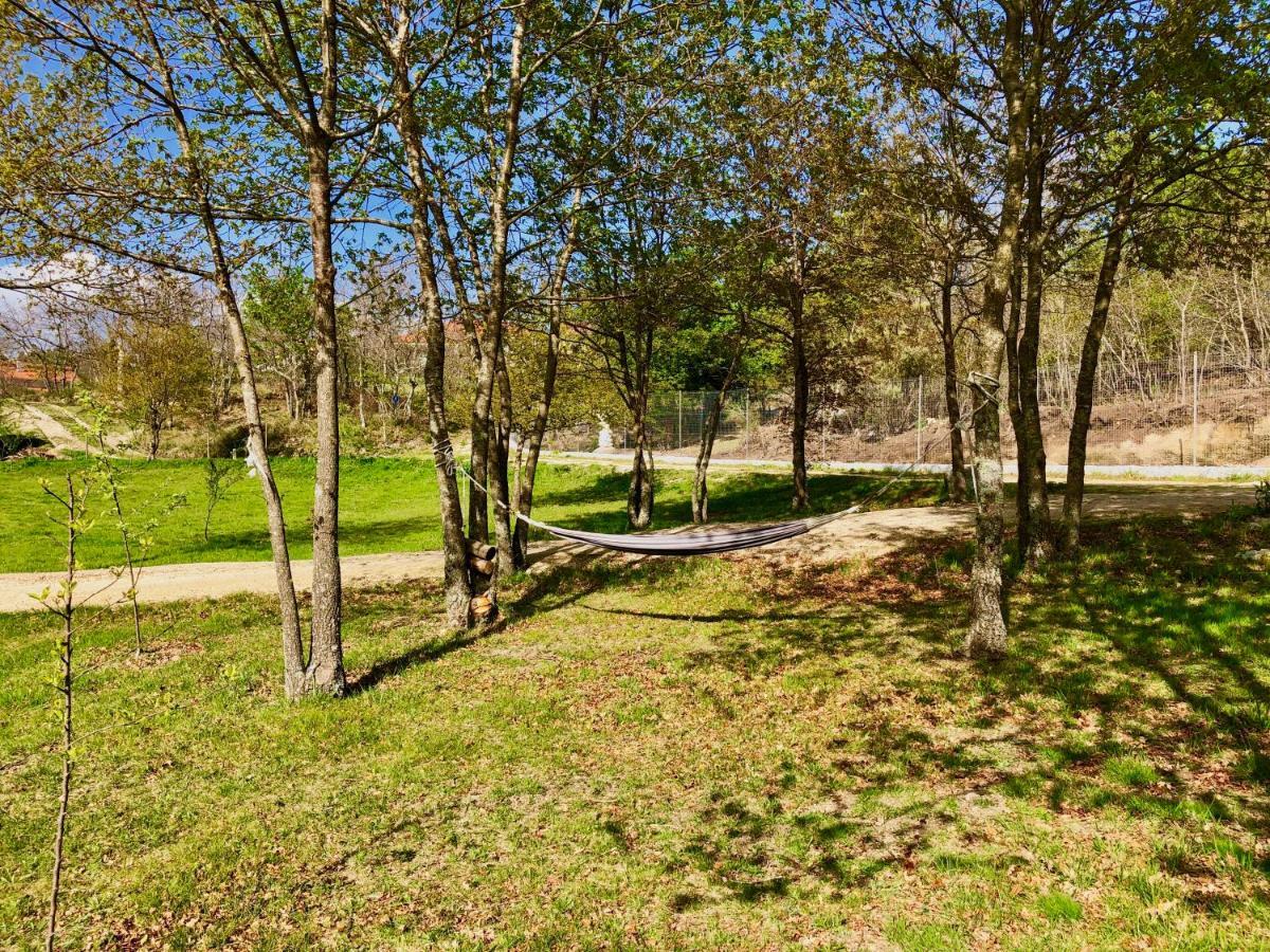 Вилла Casa Da Quinta Da Prelada Simao Селорику-ди-Башту Экстерьер фото